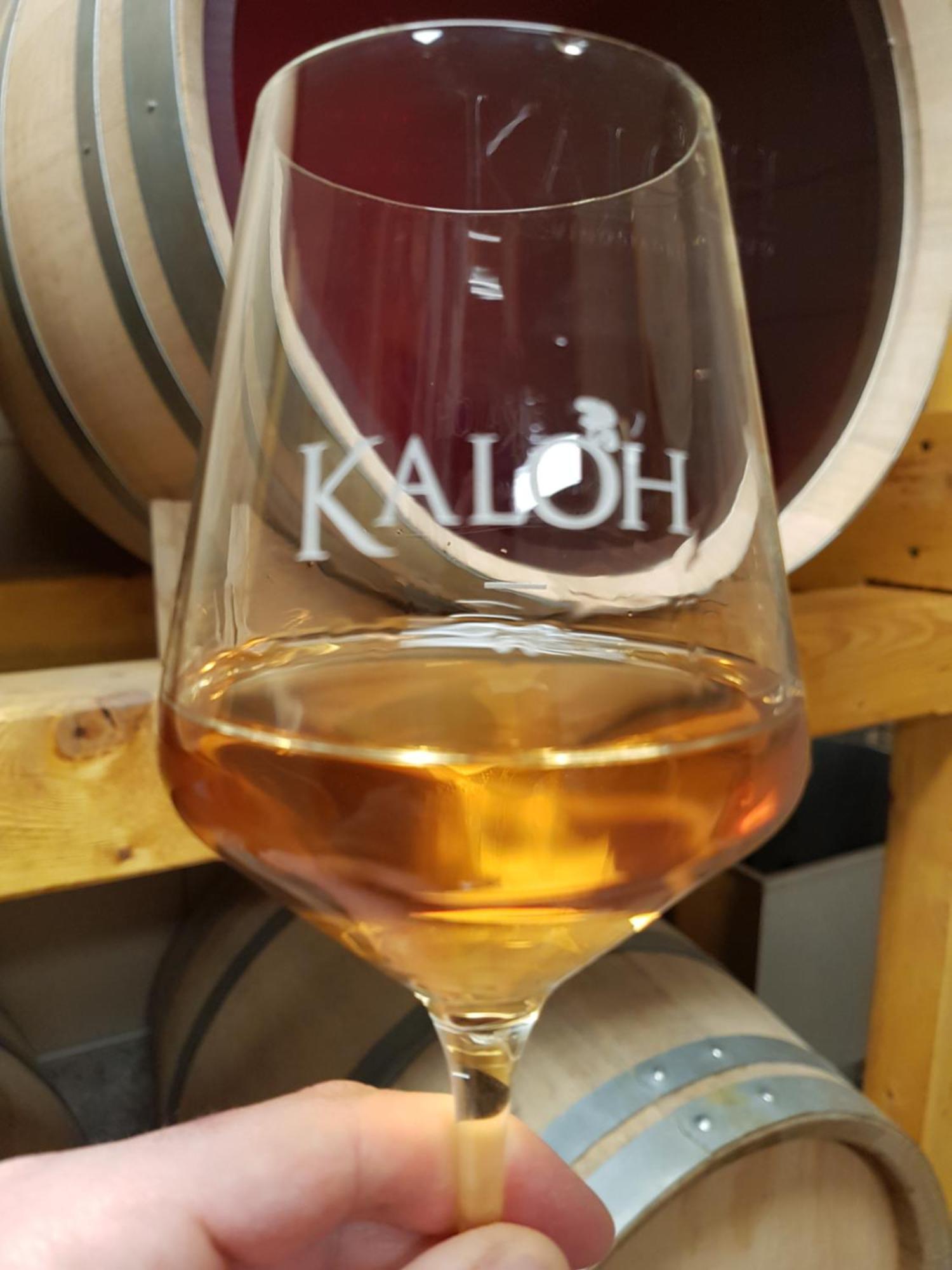 마리보르 Wine House Kaloh 빌라 외부 사진