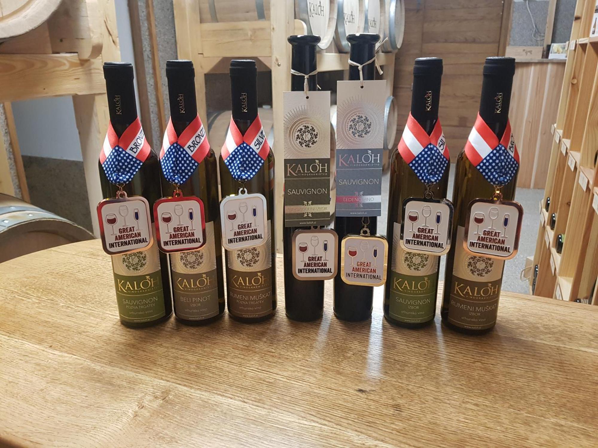 마리보르 Wine House Kaloh 빌라 외부 사진