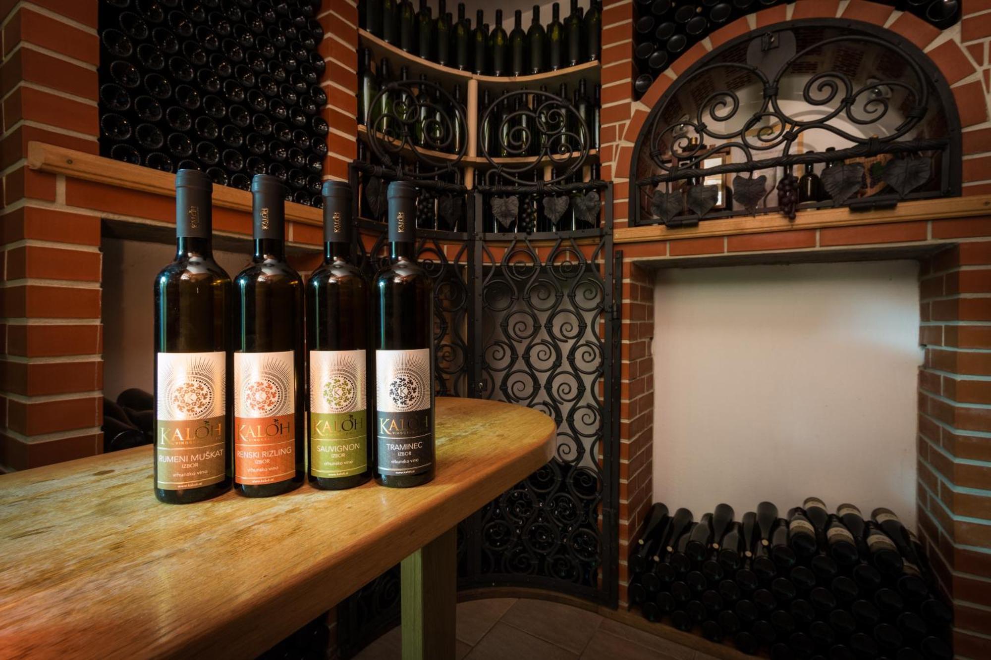 마리보르 Wine House Kaloh 빌라 외부 사진