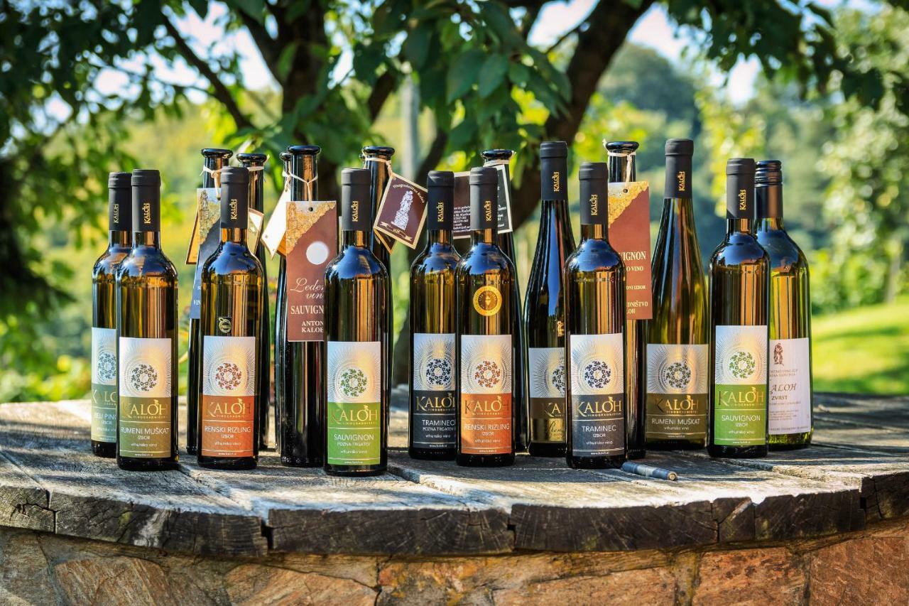마리보르 Wine House Kaloh 빌라 외부 사진