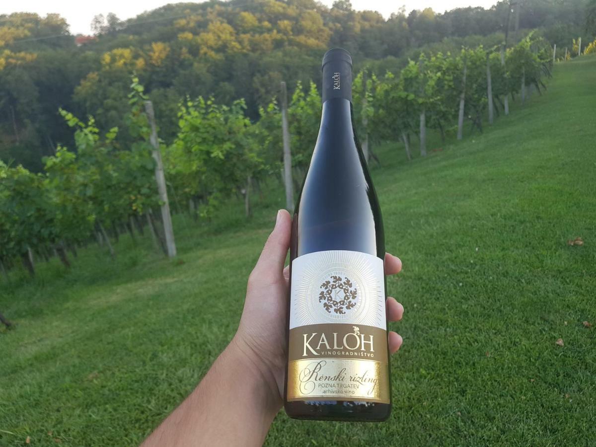 마리보르 Wine House Kaloh 빌라 외부 사진