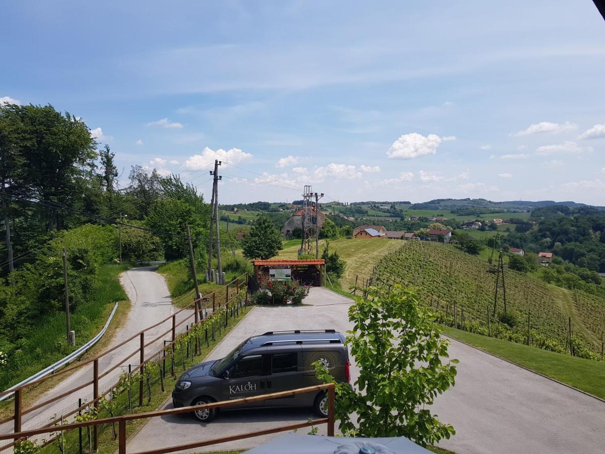 마리보르 Wine House Kaloh 빌라 외부 사진